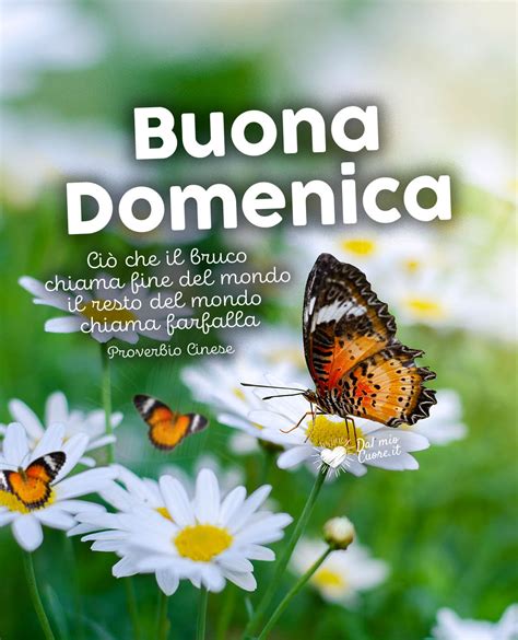 buona domenica immagini nuove 2021|buona giornata a tutti.